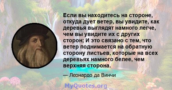 Если вы находитесь на стороне, откуда дует ветер, вы увидите, как деревья выглядят намного легче, чем вы увидите их с других сторон; И это связано с тем, что ветер поднимается на обратную сторону листьев, которые на