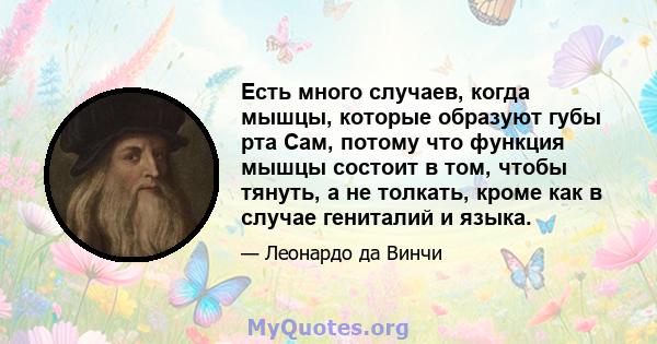 Есть много случаев, когда мышцы, которые образуют губы рта Сам, потому что функция мышцы состоит в том, чтобы тянуть, а не толкать, кроме как в случае гениталий и языка.