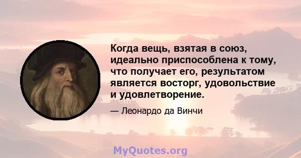 Когда вещь, взятая в союз, идеально приспособлена к тому, что получает его, результатом является восторг, удовольствие и удовлетворение.