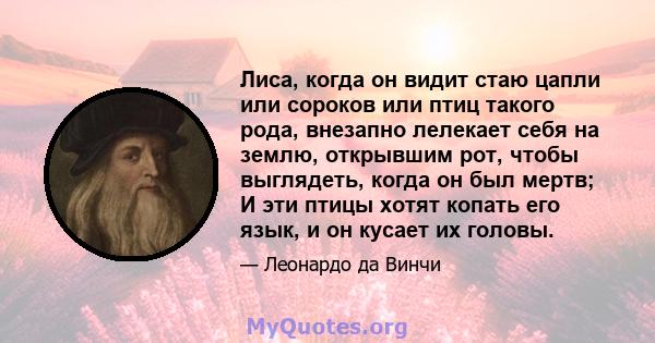 Лиса, когда он видит стаю цапли или сороков или птиц такого рода, внезапно лелекает себя на землю, открывшим рот, чтобы выглядеть, когда он был мертв; И эти птицы хотят копать его язык, и он кусает их головы.