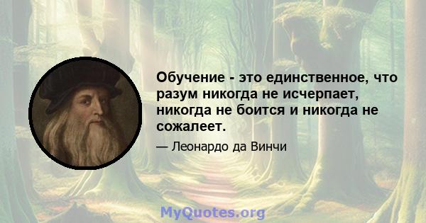 Обучение - это единственное, что разум никогда не исчерпает, никогда не боится и никогда не сожалеет.