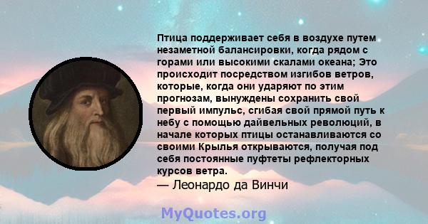 Птица поддерживает себя в воздухе путем незаметной балансировки, когда рядом с горами или высокими скалами океана; Это происходит посредством изгибов ветров, которые, когда они ударяют по этим прогнозам, вынуждены