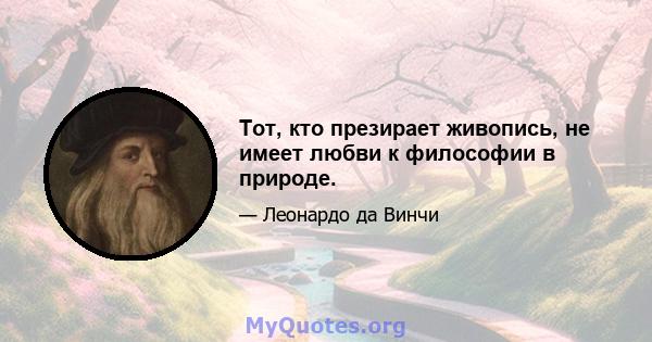 Тот, кто презирает живопись, не имеет любви к философии в природе.