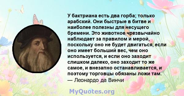 У бактриана есть два горба; только арабский. Они быстрые в битве и наиболее полезны для несущего бремени. Это животное чрезвычайно наблюдает за правилом и мерой, поскольку оно не будет двигаться, если оно имеет больший