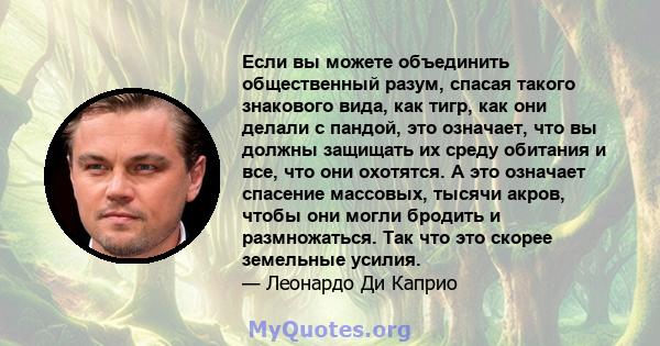 Если вы можете объединить общественный разум, спасая такого знакового вида, как тигр, как они делали с пандой, это означает, что вы должны защищать их среду обитания и все, что они охотятся. А это означает спасение