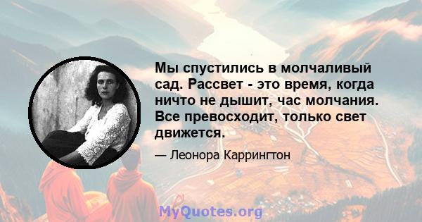 Мы спустились в молчаливый сад. Рассвет - это время, когда ничто не дышит, час молчания. Все превосходит, только свет движется.