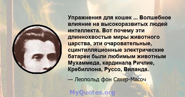 Упражнения для кошек ... Волшебное влияние на высокоразвитых людей интеллекта. Вот почему эти длиннохвостые миры животного царства, эти очаровательные, сцинтилляционные электрические батареи были любимым животным