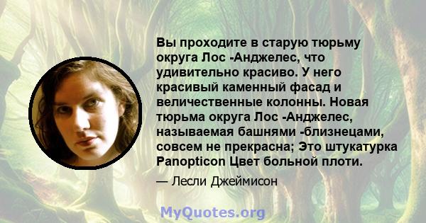 Вы проходите в старую тюрьму округа Лос -Анджелес, что удивительно красиво. У него красивый каменный фасад и величественные колонны. Новая тюрьма округа Лос -Анджелес, называемая башнями -близнецами, совсем не