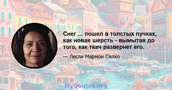 Снег ... пошел в толстых пучках, как новая шерсть - вымытая до того, как ткач развернет его.