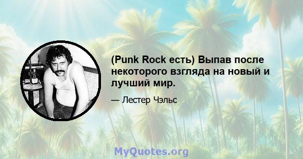 (Punk Rock есть) Выпав после некоторого взгляда на новый и лучший мир.