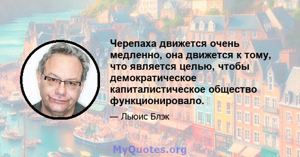 Черепаха движется очень медленно, она движется к тому, что является целью, чтобы демократическое капиталистическое общество функционировало.