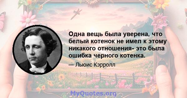 Одна вещь была уверена, что белый котенок не имел к этому никакого отношения- это была ошибка черного котенка.