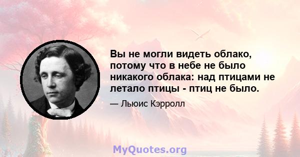 Вы не могли видеть облако, потому что в небе не было никакого облака: над птицами не летало птицы - птиц не было.