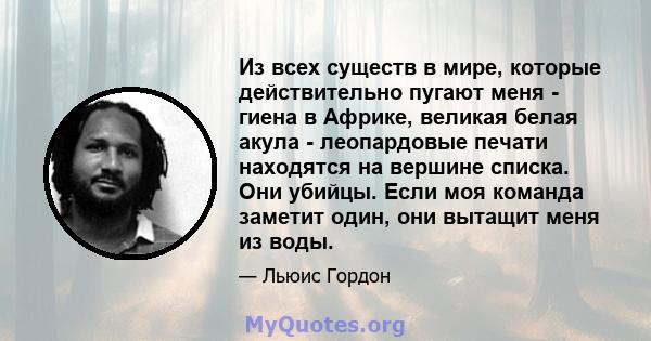 Из всех существ в мире, которые действительно пугают меня - гиена в Африке, великая белая акула - леопардовые печати находятся на вершине списка. Они убийцы. Если моя команда заметит один, они вытащит меня из воды.