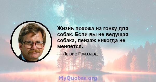 Жизнь похожа на гонку для собак. Если вы не ведущая собака, пейзаж никогда не меняется.