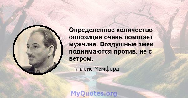 Определенное количество оппозиции очень помогает мужчине. Воздушные змеи поднимаются против, не с ветром.