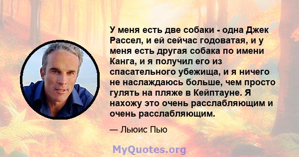 У меня есть две собаки - одна Джек Рассел, и ей сейчас годоватая, и у меня есть другая собака по имени Канга, и я получил его из спасательного убежища, и я ничего не наслаждаюсь больше, чем просто гулять на пляже в