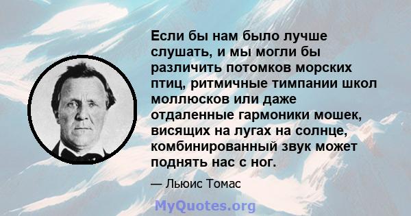 Если бы нам было лучше слушать, и мы могли бы различить потомков морских птиц, ритмичные тимпании школ моллюсков или даже отдаленные гармоники мошек, висящих на лугах на солнце, комбинированный звук может поднять нас с