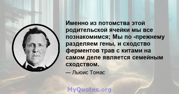 Именно из потомства этой родительской ячейки мы все познакомимся; Мы по -прежнему разделяем гены, и сходство ферментов трав с китами на самом деле является семейным сходством.