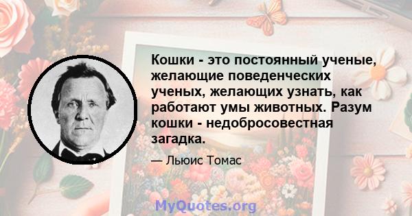 Кошки - это постоянный ученые, желающие поведенческих ученых, желающих узнать, как работают умы животных. Разум кошки - недобросовестная загадка.