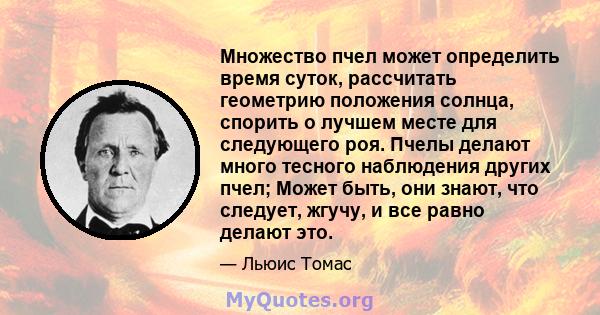 Множество пчел может определить время суток, рассчитать геометрию положения солнца, спорить о лучшем месте для следующего роя. Пчелы делают много тесного наблюдения других пчел; Может быть, они знают, что следует,