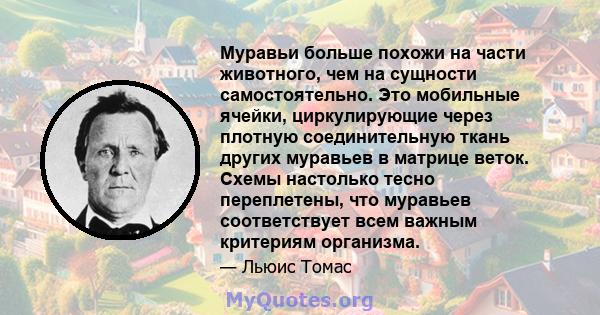 Муравьи больше похожи на части животного, чем на сущности самостоятельно. Это мобильные ячейки, циркулирующие через плотную соединительную ткань других муравьев в матрице веток. Схемы настолько тесно переплетены, что