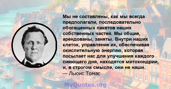 Мы не составлены, как мы всегда предполагали, последовательно обогащенных пакетов наших собственных частей. Мы общие, арендованы, заняты. Внутри наших клеток, управление их, обеспечивая окислительную энергию, которая