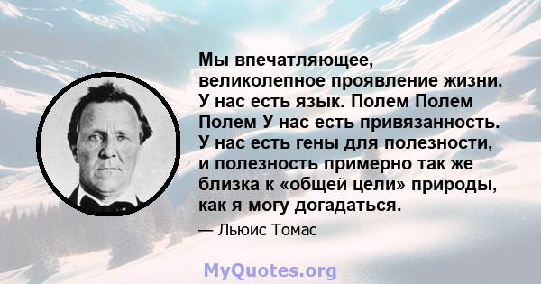 Мы впечатляющее, великолепное проявление жизни. У нас есть язык. Полем Полем Полем У нас есть привязанность. У нас есть гены для полезности, и полезность примерно так же близка к «общей цели» природы, как я могу