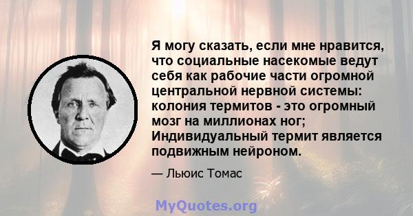 Я могу сказать, если мне нравится, что социальные насекомые ведут себя как рабочие части огромной центральной нервной системы: колония термитов - это огромный мозг на миллионах ног; Индивидуальный термит является