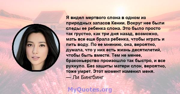 Я видел мертвого слона в одном из природных запасов Кении. Вокруг нее были следы ее ребенка слона. Это было просто так грустно, как три дня назад, возможно, мать все еще брала ребенка, чтобы играть и пить воду. По ее