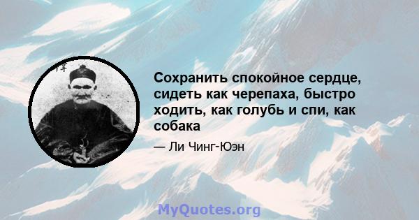 Сохранить спокойное сердце, сидеть как черепаха, быстро ходить, как голубь и спи, как собака