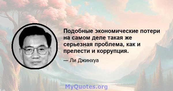 Подобные экономические потери на самом деле такая же серьезная проблема, как и прелести и коррупция.