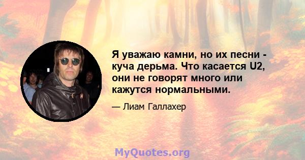 Я уважаю камни, но их песни - куча дерьма. Что касается U2, они не говорят много или кажутся нормальными.