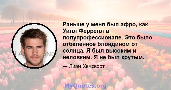 Раньше у меня был афро, как Уилл Феррелл в полупрофессионале. Это было отбеленное блондином от солнца. Я был высоким и неловким. Я не был крутым.