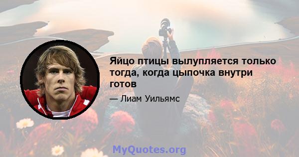 Яйцо птицы вылупляется только тогда, когда цыпочка внутри готов