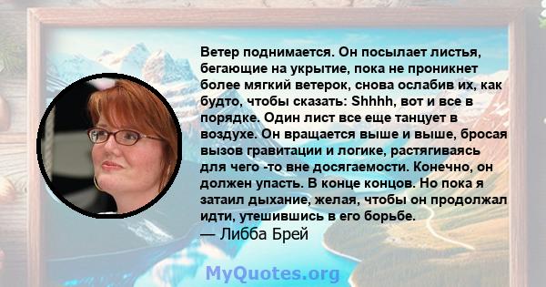 Ветер поднимается. Он посылает листья, бегающие на укрытие, пока не проникнет более мягкий ветерок, снова ослабив их, как будто, чтобы сказать: Shhhh, вот и все в порядке. Один лист все еще танцует в воздухе. Он