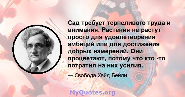 Сад требует терпеливого труда и внимания. Растения не растут просто для удовлетворения амбиций или для достижения добрых намерений. Они процветают, потому что кто -то потратил на них усилия.