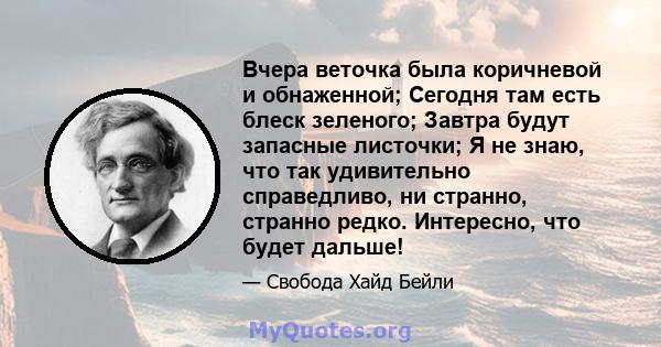 Вчера веточка была коричневой и обнаженной; Сегодня там есть блеск зеленого; Завтра будут запасные листочки; Я не знаю, что так удивительно справедливо, ни странно, странно редко. Интересно, что будет дальше!