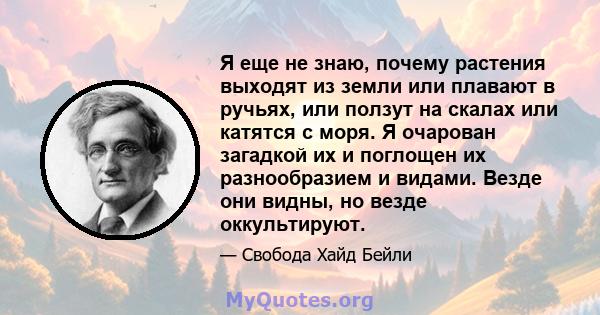 Я еще не знаю, почему растения выходят из земли или плавают в ручьях, или ползут на скалах или катятся с моря. Я очарован загадкой их и поглощен их разнообразием и видами. Везде они видны, но везде оккультируют.