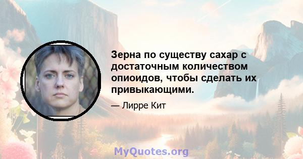 Зерна по существу сахар с достаточным количеством опиоидов, чтобы сделать их привыкающими.