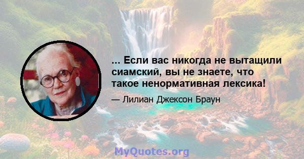 ... Если вас никогда не вытащили сиамский, вы не знаете, что такое ненормативная лексика!