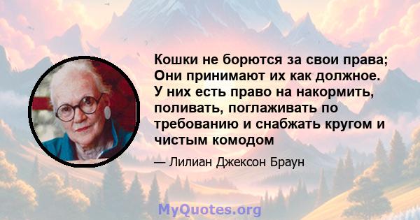 Кошки не борются за свои права; Они принимают их как должное. У них есть право на накормить, поливать, поглаживать по требованию и снабжать кругом и чистым комодом