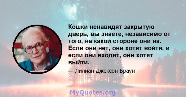 Кошки ненавидят закрытую дверь, вы знаете, независимо от того, на какой стороне они на. Если они нет, они хотят войти, и если они входят, они хотят выйти.