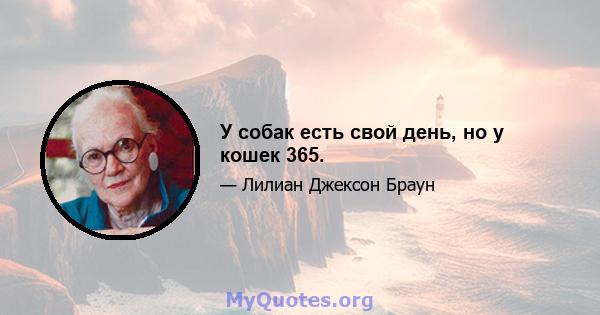 У собак есть свой день, но у кошек 365.