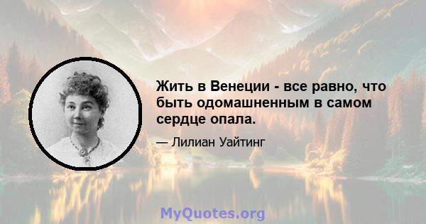 Жить в Венеции - все равно, что быть одомашненным в самом сердце опала.