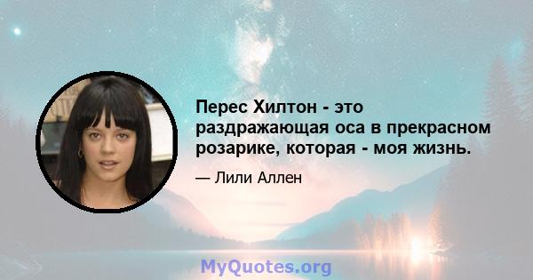 Перес Хилтон - это раздражающая оса в прекрасном розарике, которая - моя жизнь.