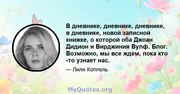 В дневнике, дневнике, дневнике, в дневнике, новой записной книжке, о которой оба Джоан Дидион и Вирджиния Вулф. Блог. Возможно, мы все ждем, пока кто -то узнает нас.