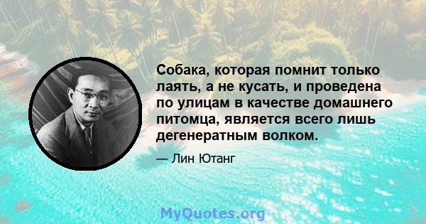 Собака, которая помнит только лаять, а не кусать, и проведена по улицам в качестве домашнего питомца, является всего лишь дегенератным волком.