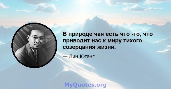 В природе чая есть что -то, что приводит нас к миру тихого созерцания жизни.