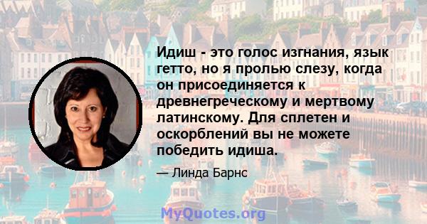 Идиш - это голос изгнания, язык гетто, но я пролью слезу, когда он присоединяется к древнегреческому и мертвому латинскому. Для сплетен и оскорблений вы не можете победить идиша.